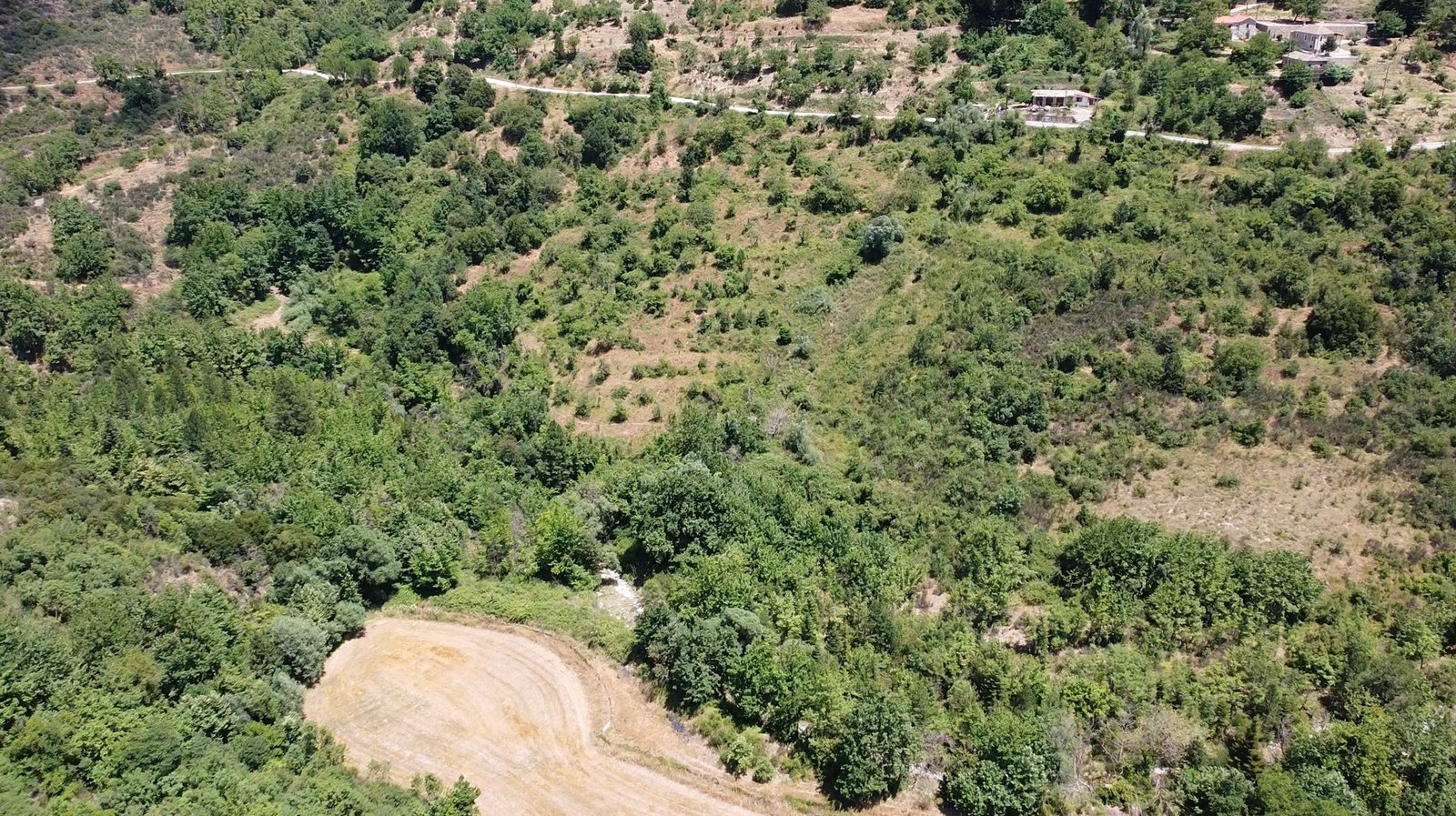 Wooded slopes and terraces